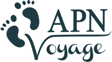 APN Voyage